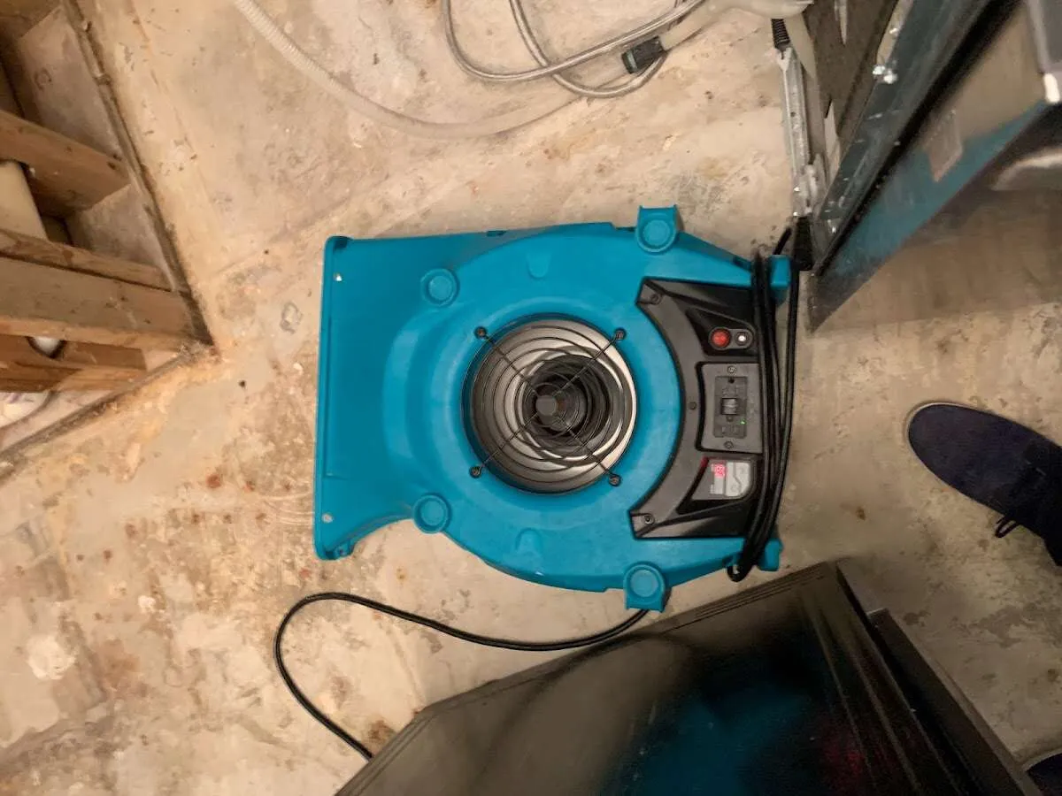 Air mover drying equipment for Mold Remediation & Removal in White Rock